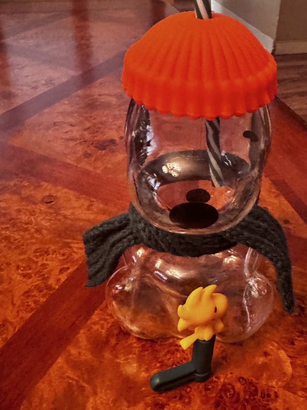 Starbucks Peanuts Snoopy Glass Cold Cup